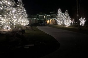 Christmas Lights on trees and house