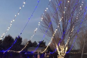 Christmas Lights hanging from house to fence over pool