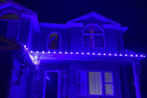 purple lights on house for Halloween
