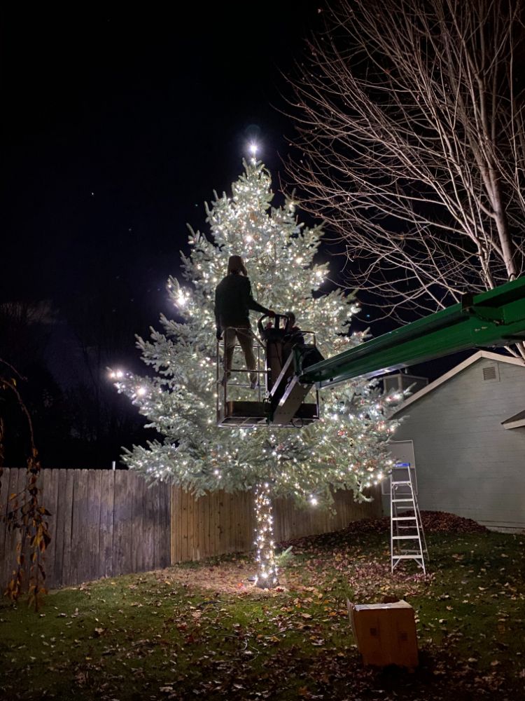 Christmas Lights on a tree