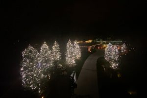 arial photo of Christmas Lights on trees